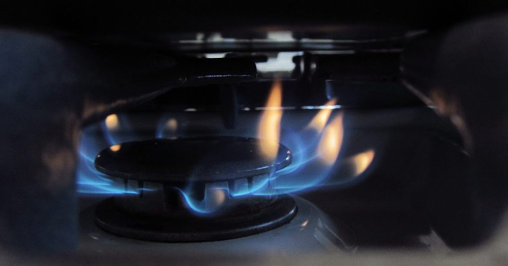 Blue flame on a gas stove burner after the igniter has lit it